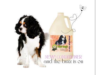 as triple magic uvodni 03b697 e9acb7c2cd5249ba912d5fb2efd88be2~mv2 kopie hh