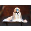 vanoce hydra zpetna vazba Grooming tips from experts hero kopie1 kopie h