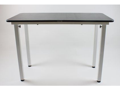 Fixed veterinary examination table (basic)