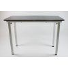 Fixed veterinary examination table (basic)