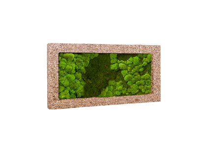 Mechový obraz Polystone nature cast 100x50 cm