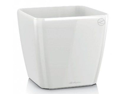 quadro 28 bílá