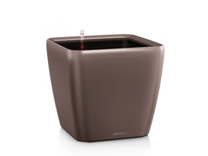 quadro 28 espresso