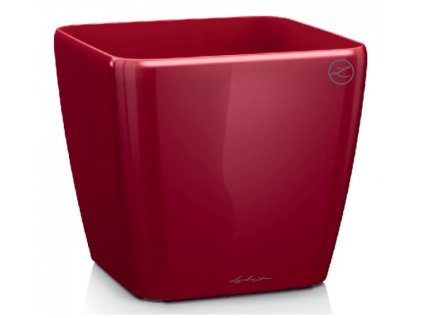 quadro 43 scarlet