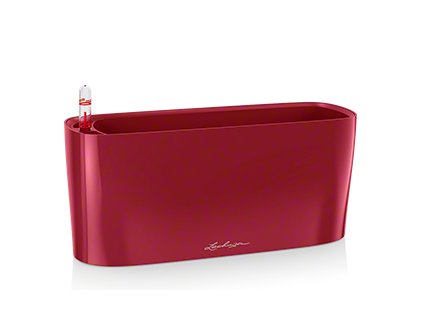 delta 10 scarlet