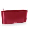 delta 10 scarlet