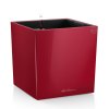 Lechuza Cube Premium 50 - scarlet