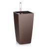maxi cubi espresso
