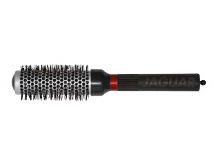 jaguar 33
