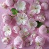 INGREDIENTS AI IMAGE MALLOW BLOSSOM