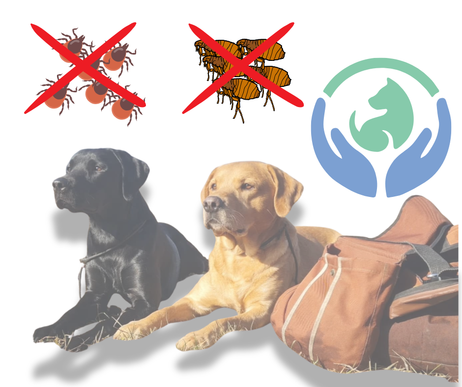 Antiparazitika pro psy