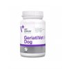 geriativet dog