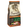 Primordial GF Dog Adult Chicken&Salmon