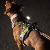 Hurtta WW postroj neon velky 1