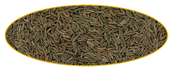 Vera Gurmet Kmín celý 100g