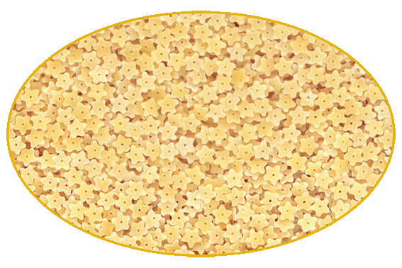 Vera Gurmet Hvězdičky 5kg