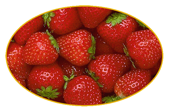 Vera Gurmet Jahody 2500g