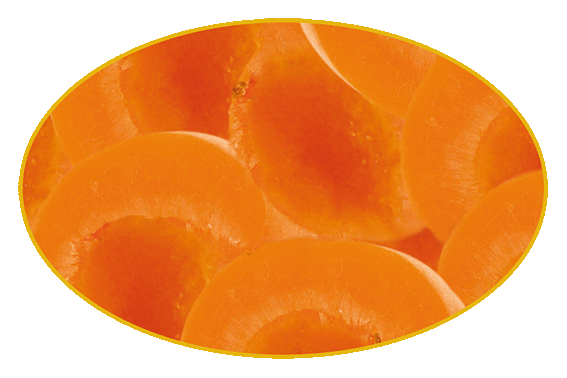 Vera Gurmet Meruňky půlené 2600g