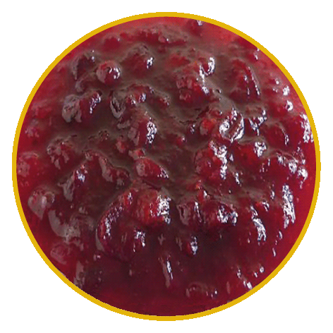 Vera Gurmet Lesní brusinky sklo 400g