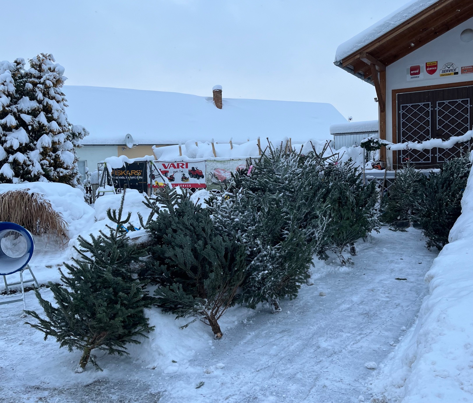 Vánoční stromečky 2025 - ProfiRD Žíšov