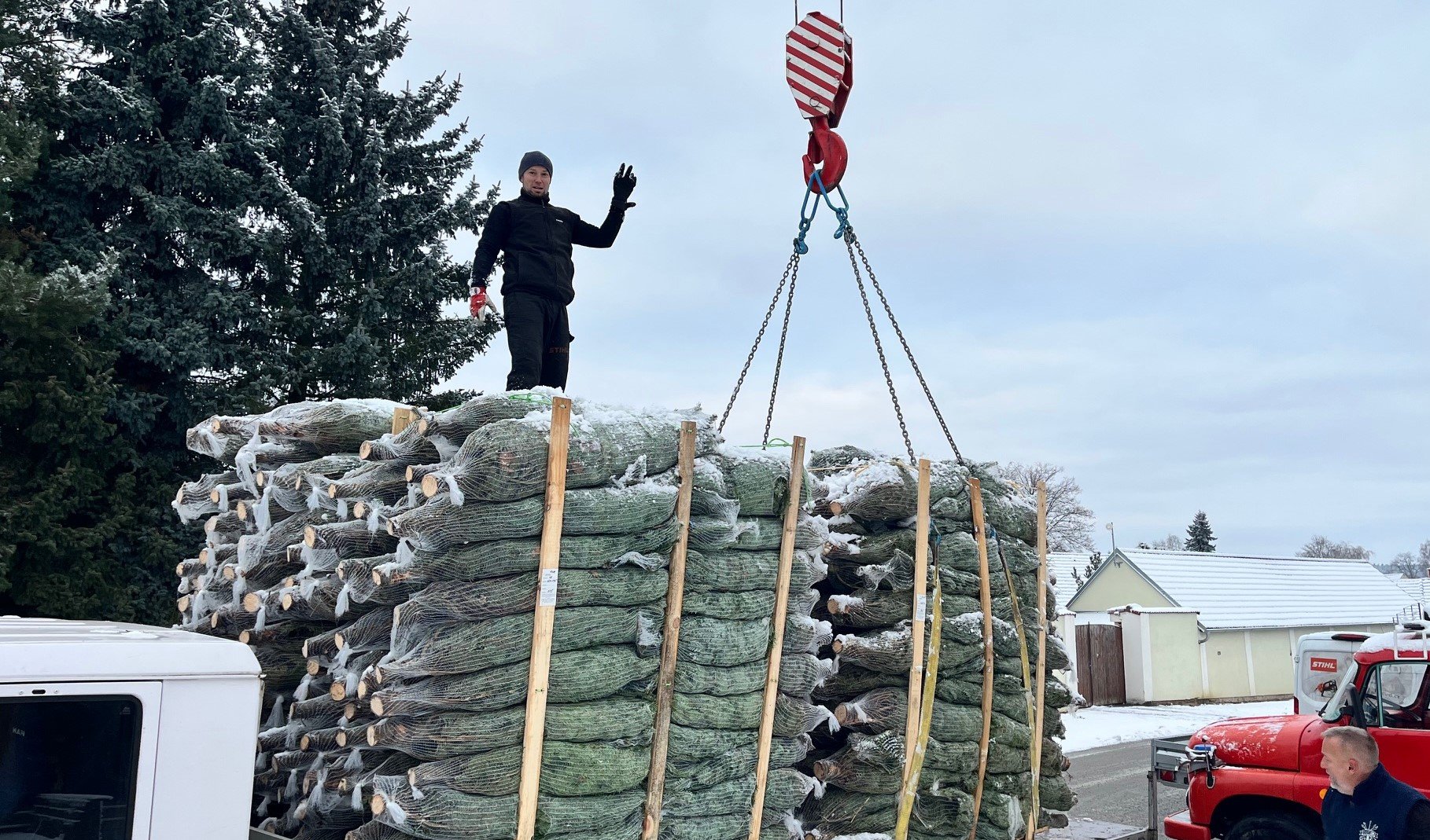 Vánoční stromečky 2025 - Ceník