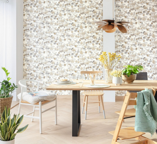 Caselio Nos Gravures