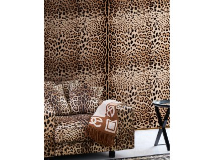 Dolce & Gabbana Casa TCW007TCAI9UL003