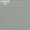 900 09 SALVIA