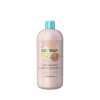 WFDIPX shampoo 1000ml 4096x4096 0ENW9Y