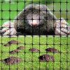 Síť proti krtkům 2x100 30g/m2