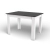 Jídelní stůl 120x80 Černá + Bílá