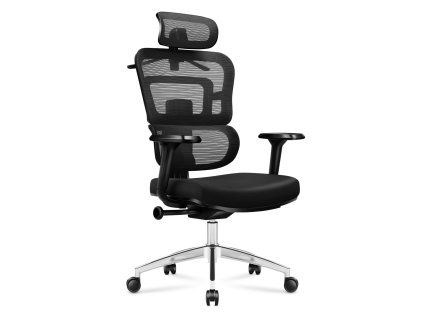 expert4.9 skos prawa