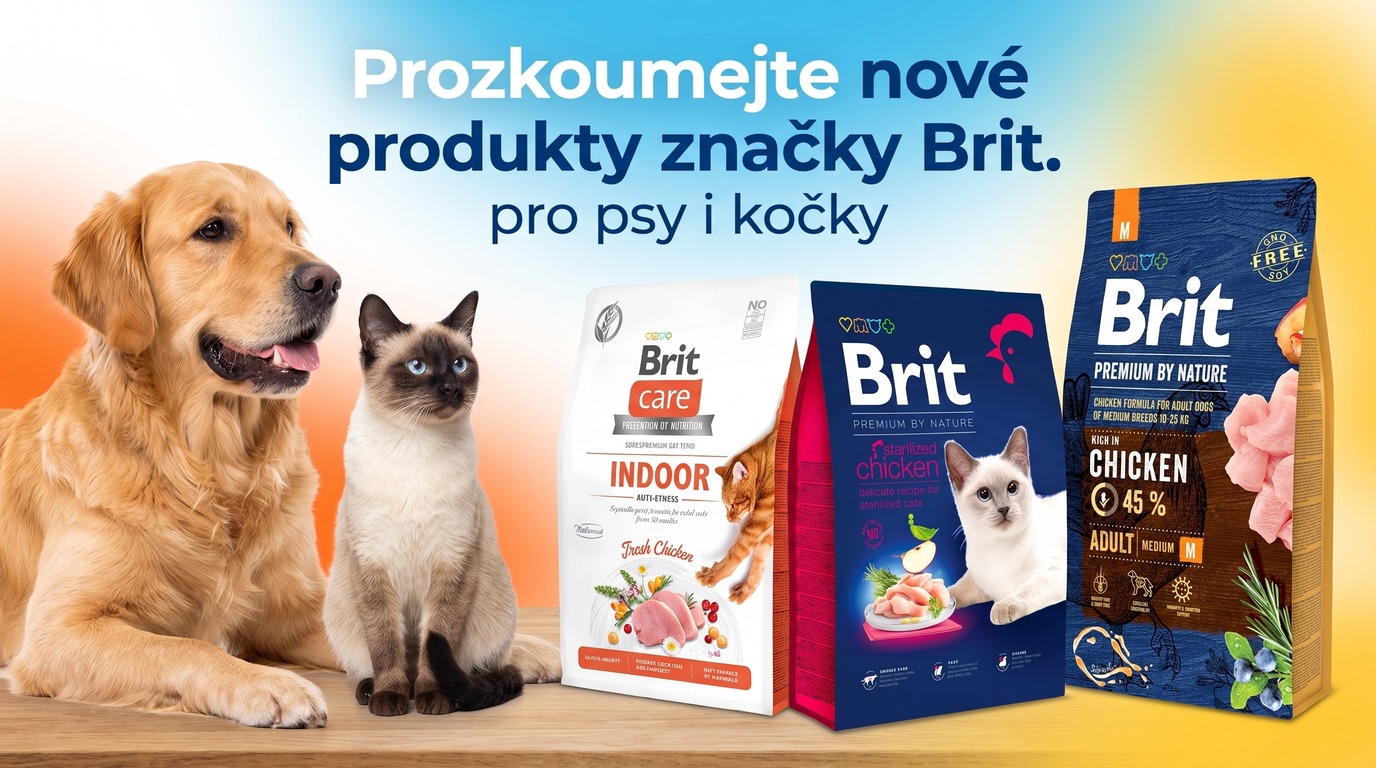 Novinky BRIT