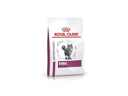 vhn renal cat dry hero image b1 mv1