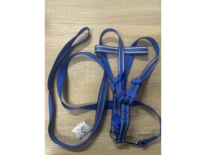 Postroj s vodítkem vel.M/L