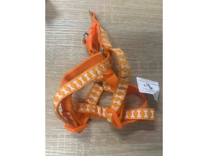 Postroj pro psa - pes malý S