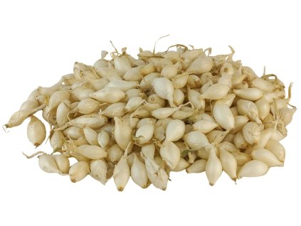 53122a73cfdfc4db8aa8da75982f1ae866d4b77c