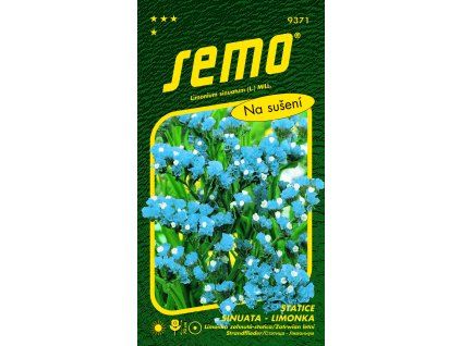 limonka statice sinuata heavenly blue modra 0 5g