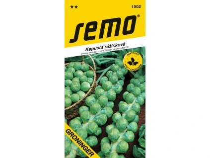 vyr 27941502 kapusta ruz GRONINGER