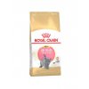 royal canin kitten british shorthair r