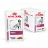 Royal Canin Dog Renal kapsička