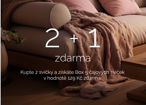 2+1