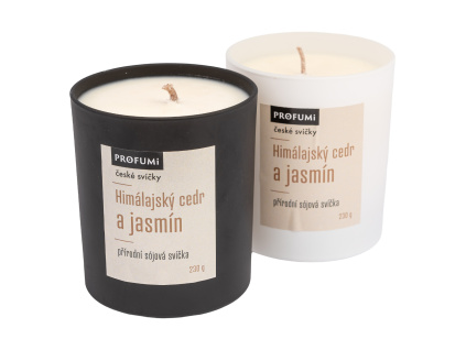 Himalajsky cedr jasmin3