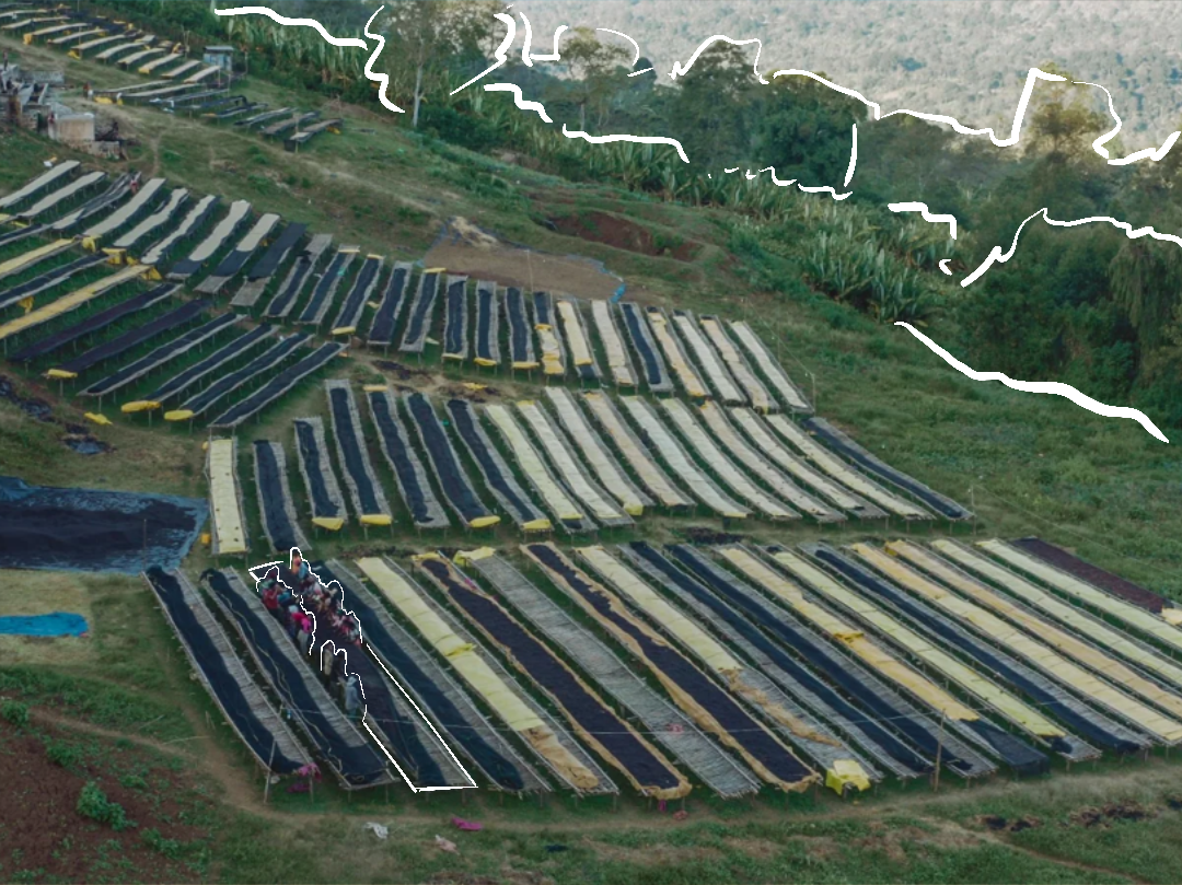 Yabitu Tume Washing Station