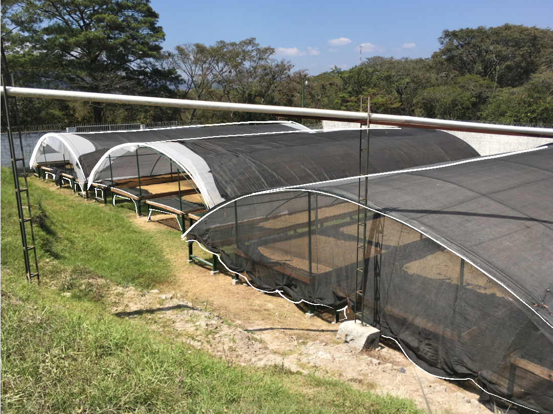 COMSA Marcala Honduras