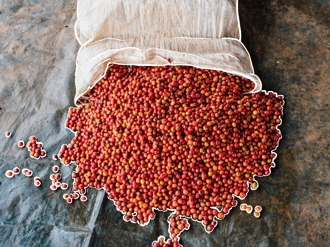 Kenya Kagumo