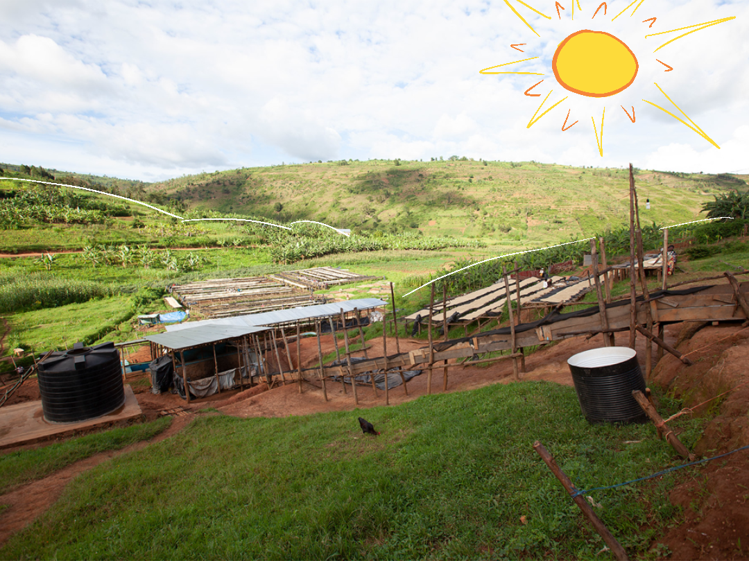 Sake Washing Station Rwanda