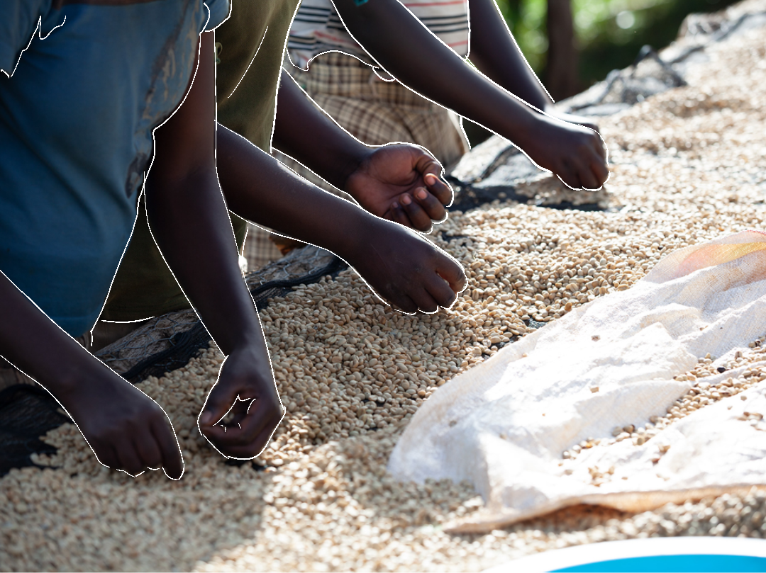 Ever Wanna Dance? Rwanda Fully Washed