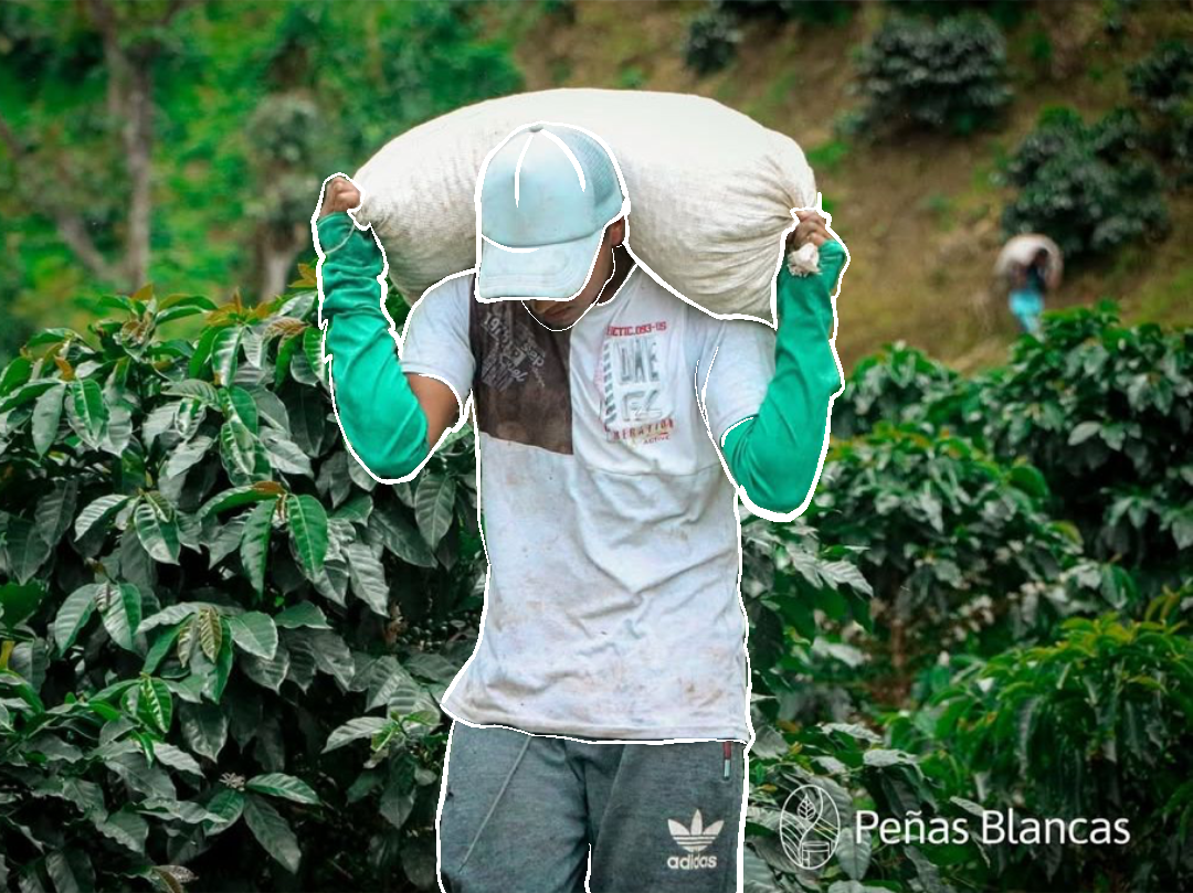 Peñas Blancas Colombia