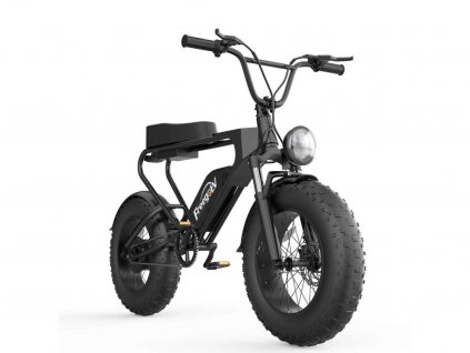 Freego elektrický bicykel DK200 - 1200W - progress-muscle.sk